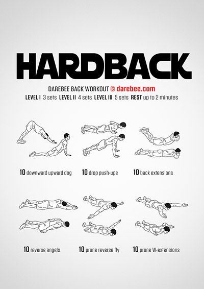 Darebee Back Workout, Back Work Out At Home, Chalestenic Workout, Calisthenics Back Workout, Back Workout At Home, Workouts Cardio, Mma Workout, Trening Sztuk Walki, Fitness Challenges