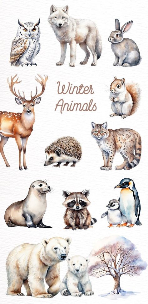 Winter Animal Watercolor, Animals In The Winter, Winter Woodland Animals, Winter Hygge, Frames Design Graphic, Winter Wolves, Cartoon Drawings Of Animals, Polar Animals, Winter Clipart