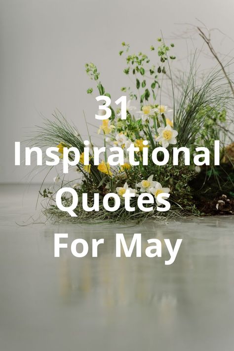 For the month of May, I bring you a compilation of inspirational quotes about mothers, the joy of labor, and sacrifices in life. The facts and events happening in May inspired this list of 31 motivational quotes. Quotes About Mothers, Month Of May, Mother Quotes, Again And Again, Labor, Motivational Quotes, Inspirational Quotes, Quotes