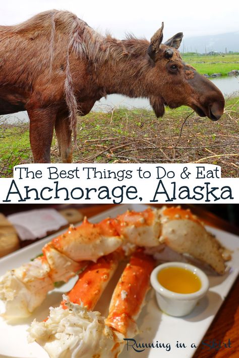 Things to Do in Ancorage Alaska USA and The Best Things to Eat! What to do in summer including places to see wildlife like Moose, downtown Anchorage, Alaska Wildlife Conservation Center and a gold mine. Also the most iconic restaaruants and must try food and breweries. A great travel guide to this bucket list destination. Gorgeous photography. / Running in a Skirt #ustravel #travelblogger #usa #travel #bucketlist #alaska #anchoragealaska Alaska In October, Alaska Party, Alaskan Cruises, Alaska Train, Alaska Bucket List, Alaska Food, Bucket List Adventure, Alaska Cruises, Alaska Summer