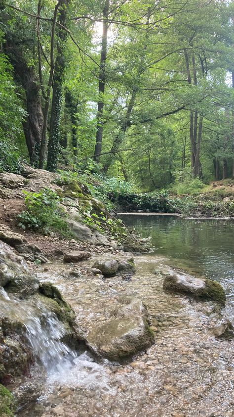 cute river in forest with little waterfall River In Forest, Fall Images, Small Lake, Pretty Landscapes, Forest River, Tourist Destinations, Nature Photography, Highlights, Forest