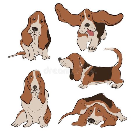 Basset Hound Art, Dog Character, Funny Cartoon Characters, Basset Hound Puppy, Puppy Drawing, Basset Hound Dog, Bassett Hound, Dog Icon, Cartoon Sketches