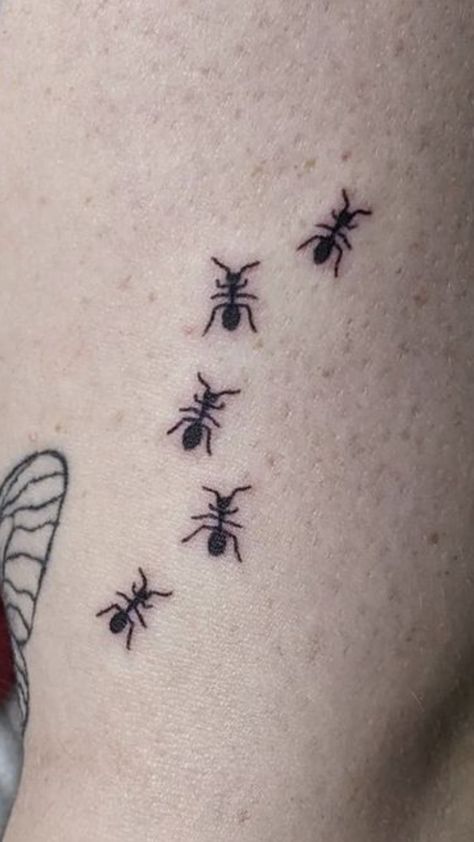 #smalltattoos #tattooideas #tattoomoodboard #tattooaesthetic Ants Tattoo, Ant Tattoo, Tattoo Cartoon, Ants, Your Aesthetic, Connect With People, Creative Energy, Small Tattoos, Tatting