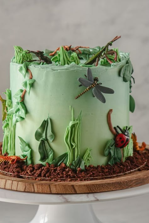 Insect Cake, Bug Birthday Cakes, Insect Party, Bug Birthday Party, Micro Bakery, Bug Cake, Bug Party, 4th Birthday Cakes, 3rd Birthday Cakes