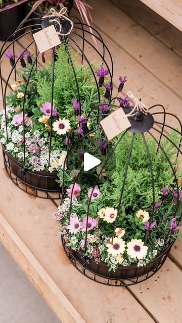 VANDULA FARMS on Instagram: "Here’s the Planting Workshop to get you excited for Spring! 🙌🍃🌷If you’re following us last season, you’ll know that our birdcage planter was an instant crowd favorite and so our team is now offering the workshop experience of building this show-stopping hanging planter! 🐥🍃🤗

We only have limited spots available for this workshop. Book your seat soon to avoid disappointment! Click link on our bio to sign-up!☝️💕

#springplanting #containergardening #plantingworkshop #gardenlovers #curiocityvancouver #vancity #vancouverbc #vancityliving #deltabc #surreybc #richmondbc #burnabybc #coquitlambc #downtownvancouver" Planting Workshop, Birdcage Planter, To Avoid Disappointment, Downtown Vancouver, Wedding Tables, Hanging Planter, Garden Lovers, City Living, Hanging Planters