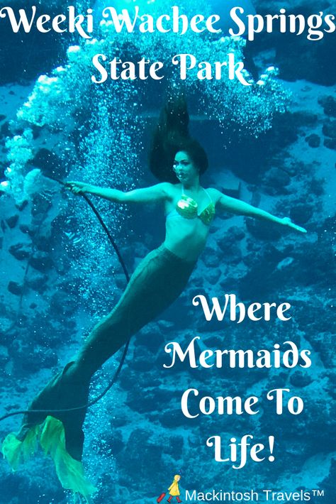 Weeki Wachee Mermaids, Mermaids Swimming, Weeki Wachee Florida, Holiday Locations, Mermaid Inspiration, Weeki Wachee, Florida Camping, Florida Life, Florida State Parks