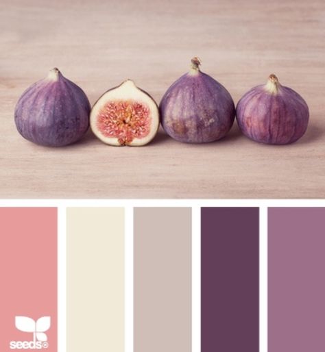 Fig color palette Design Seeds, Color Palate, Color Palette Design, Color My World, Colour Inspiration, Design Case, Color Pallets, My New Room, Color Swatches