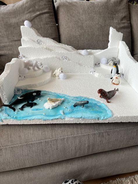 Orca Diorama School Projects, Tundra Habitat Project, Polar Region Project, Tundra Ecosystem Project, Arctic Habitat Diorama, Arctic Habitat Project For Kids, Artic Habitat Project For Kids, Arctic Diorama For Kids, Tundra Diorama