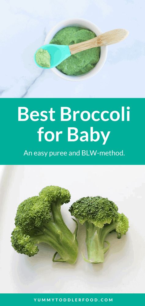 Broccoli is a nutritional powerhouse that is easy to prepare for babies. Learn how to make broccoli puree, BLW-style broccoli, and broccoli finger foods. Plus: Simple ways to add flavor and storage tips. Broccoli For Baby, Puréed Food, Baby Broccoli Recipe, Avocado Baby Food, Broccoli Puree, Freezing Baby Food, Best Broccoli, Broccoli Benefits, How To Make Broccoli