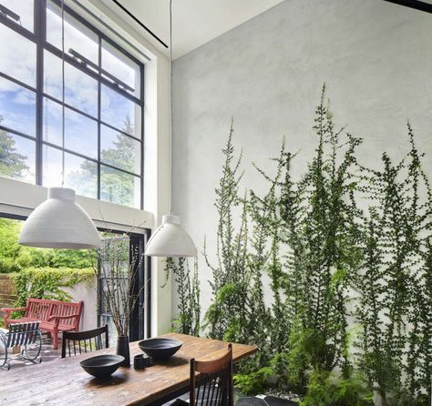 Architect Visit: A Dining Room Wallpapered with Climbing Vines in Brooklyn - Gardenista Wall Climbing Plants, Green Wall Garden, Indoor Vines, Living Green Walls, Creeping Fig, Wall Climbing, Dining Room Wallpaper, Plants Ideas, Garden Vines