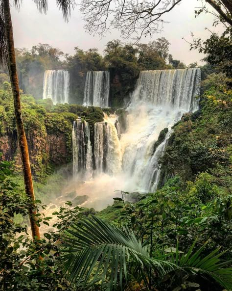 Book your Iguazu Falls tour with us. More information in our website Iguacu Falls Brazil, Waterfall Tattoos, Iguacu Falls, Travel To Argentina, Iguassu Falls, Argentina Culture, Visit Argentina, Iguazu Falls, Argentina Travel