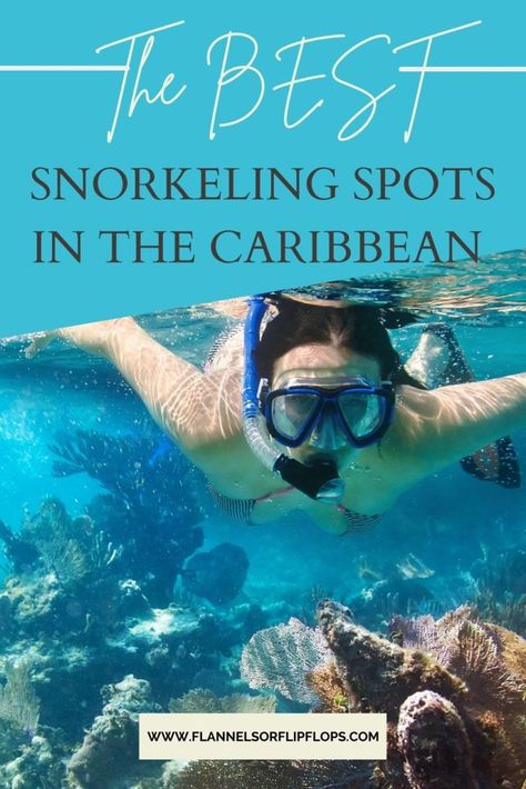 Best Places To Snorkel, Top Cruise, Caribbean Fashion, Best Snorkeling, Wanderlust Photography, Caribbean Culture, Travel Quotes Wanderlust, Caribbean Beaches, Snorkeling Gear