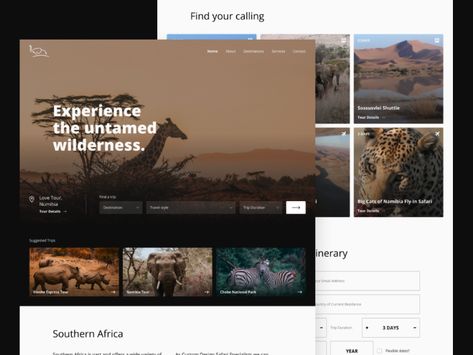 Safari booking website - Web Design by Glumac Lazar Safari Website, Travel Website Design, Travel Instagram Ideas, Safari Photography, Africa Photography, Africa Tour, Booking Website, Ui Design Website, Brand Ideas