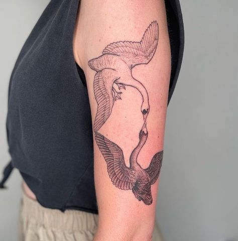 Flying Swan Tattoo, Lichen Tattoo, Japanese Swan Tattoo, 2 Swans Tattoo, Hilma Klint Tattoo, Swan Lake Tattoo, Two Swans Tattoo, Swans Kissing Tattoo, Big Swan Tattoo