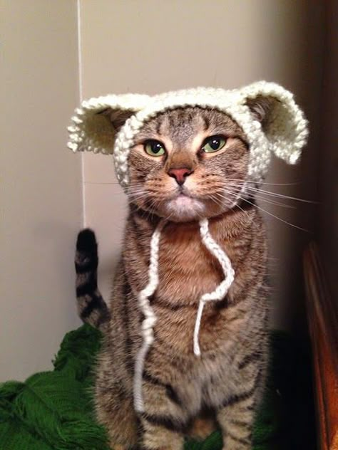 Crocheted Cat Hats Free Pattern, Cat Hat Pattern Crochet, Crochet Hats For Cats Pattern Free, Crochet Cat Bonnet Pattern Free, Knitted Hat For Cat Pattern Free, Cat Crochet Hats, Crochet Pattern Cat Hat, Free Crochet Cat Hat, Cat Hat Knitting Pattern