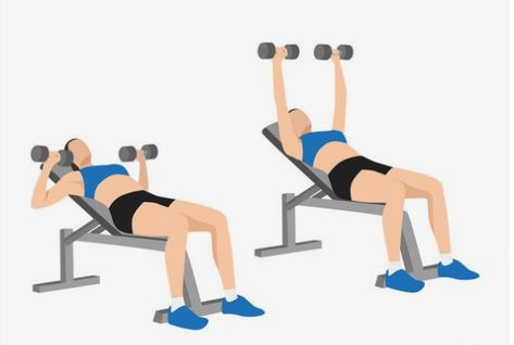 Dumbbell Bench Press, Incline Bench, Workout Plan Gym, Bench Press, Fitness Workout, Sport Fitness, Google Images, Bench, Gym