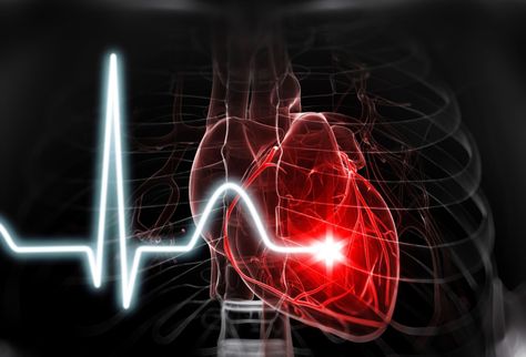 The heart is a powerful muscle that beats 100,000 times per year. It can even beat outside of the body. Discover 10 fascinating facts about your heart. Arteries Anatomy, Heart Valves, Coronary Arteries, Basic Facts, Body Organs, Fascinating Facts, Types Of Cancers, Facts About, Did You Know