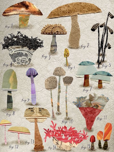 Kunst Collages, Illustration Botanique Vintage, Wal Art, Ny Art, Edible Mushrooms, Illustration Botanique, Art Et Illustration, Mushroom Art, A Collage