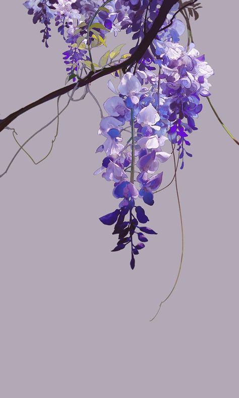 Wisteria Aesthetic Anime, Anime Wisteria, Wisteria Anime, Wisteria Illustration, Wisteria Drawing, Wisteria Aesthetic, Wisteria Wallpaper, Wisteria Design, Ibuki Satsuki