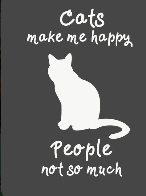 #cats #catlovers Cat Lover Quote, Katt Grejer, Colorful Hairstyles, Cat Quotes Funny, Gray Cat, Brown Cat, Funny Wallpaper, Cat Quotes, Cat Posters