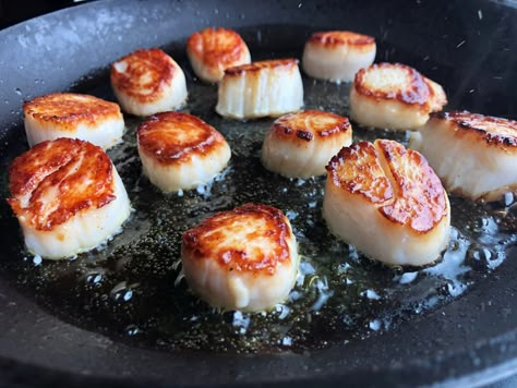 Butter Caper Sauce, Scallops Recipe, Bedford Massachusetts, Scallop Dishes, Caper Sauce, Dried Scallops, Pan Seared Scallops, Seafood Entrees, Pan Sauce