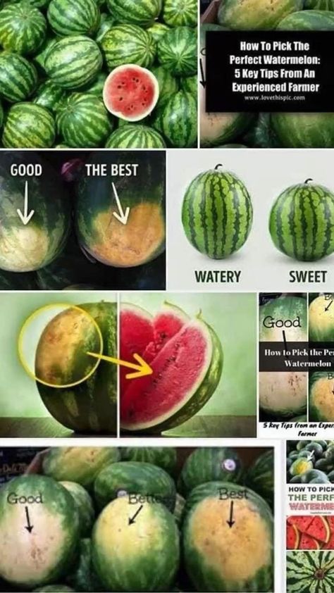 How to pick a watermelon in 2022 | How to choose watermelon, Inflammation diet recipes, Watermelon benefits How To Choose Watermelon, Watermelon Ripeness, Picking Watermelon, Pick A Watermelon, Inflammation Diet Recipes, Watermelon Nutrition Facts, Watermelon Health Benefits, Watermelon Benefits, Amazing Food Hacks