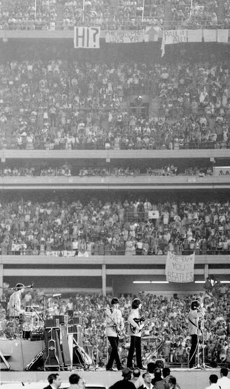 Beatles Shea Stadium, Beatles Quotes, The Beatles Live, Shea Stadium, Beatles Photos, Joan Jett, The Fab Four, Rock Concert, Catherine Deneuve