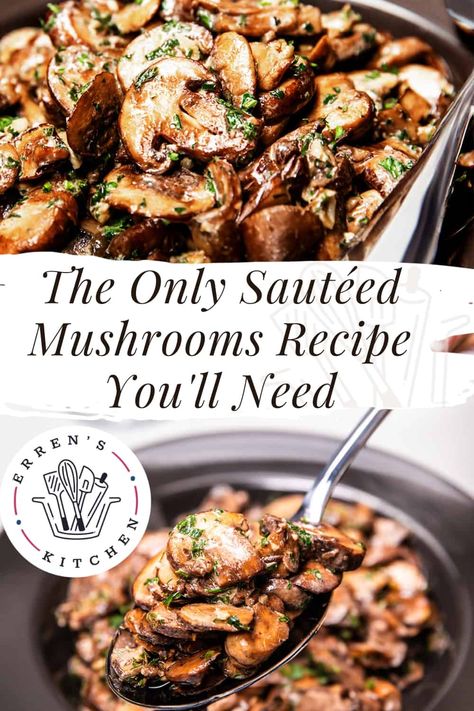 Discover the secret to perfect sautéed mushrooms! Our easy-to-follow recipe will guide you to create the most flavorful, golden, and tender mushrooms. Pin this for a quick gourmet addition to any meal! Beech Mushrooms Recipe, Beech Mushroom Recipe, Beech Mushrooms, Mushroom Side Dishes, Sautéed Mushrooms, Mushroom Recipe, Quick Side Dishes, Flavorful Vegetables, Sauteed Mushrooms