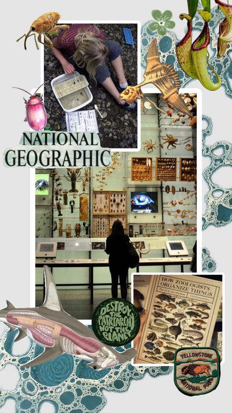 #zoology #zoologist #nature #biology #wildlifebiology #conservation #research #science #dreamlife #museum Zoologist Career, Zoology Career, Animal Infographic, Conservation Biology, Vet Medicine, Wildlife Biologist, Eco Life, Animal Conservation, Medicine Student