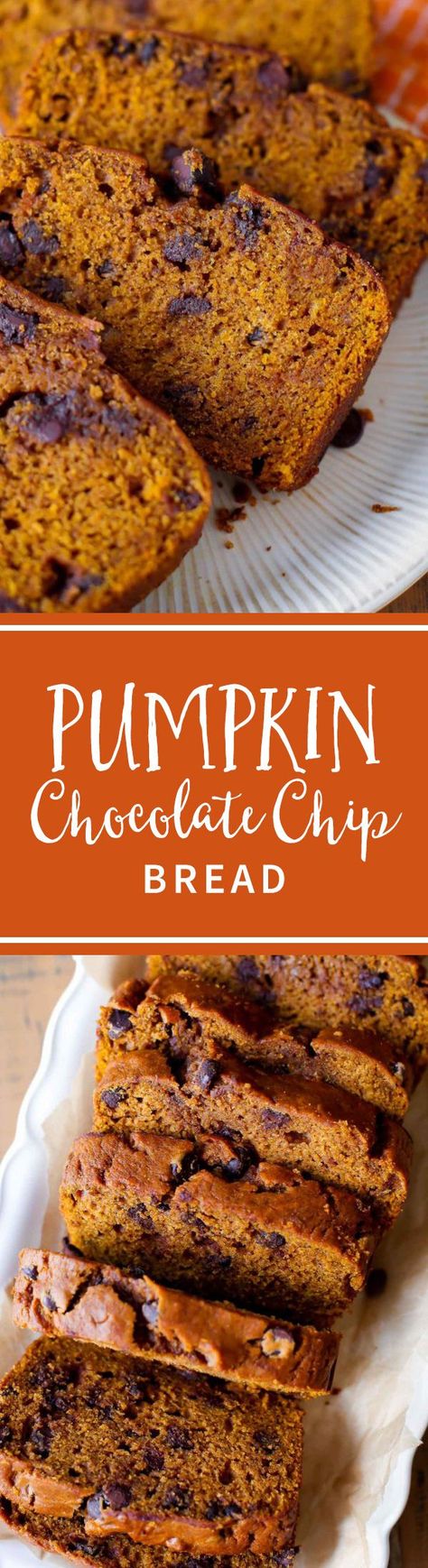 This is my favorite recipe for pumpkin bread! I love adding chocolate chips. Grab the recipe on sallysbakingaddiction.com Bread No Mixer, Chocolate Chip Bread Recipe, The Best Pumpkin Bread, Best Pumpkin Bread, Cookies Cupcake, Chocolate Chip Bread, Pumpkin Chocolate Chip Bread, Sally's Baking, Pumpkin Chocolate Chip