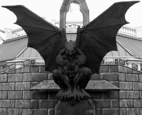 gargoyle | Tumblr Gargoyles Art, Gargoyle Tattoo, Gothic Gargoyles, Country Tattoos, Ange Demon, Dragon Tattoo Designs, Gothic Aesthetic, Gothic Architecture, Dracula