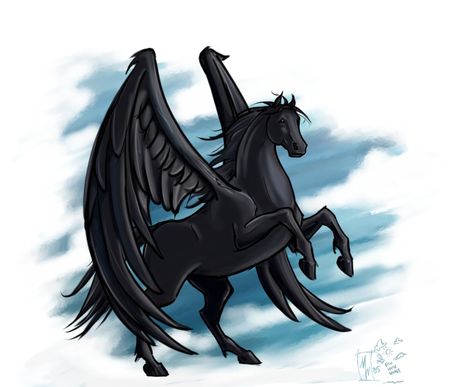 Black Pegasus, Jack Champion, Sea Of Monsters, Percy Jackson Fan Art, Percy Jackson Art, Rick Riordan Books, The Heroes Of Olympus, Uncle Rick, Percy Jackson Fandom