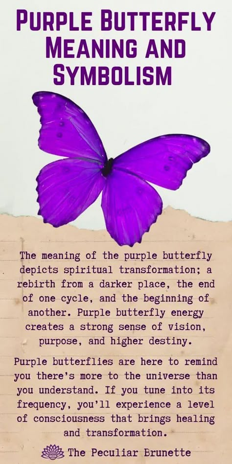 Purple Butterfly Meaning Spiritual, Symbol For Purpose, What Is The Meaning Of A Butterfly Tattoo, Purple Butterfly Meaning, Spiritual Butterfly Tattoo, Butterfly Transformation Tattoo, Meaning Of A Butterfly, Transformation Butterfly, Purple Meaning