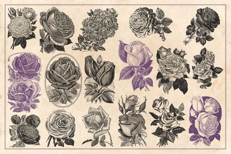 500 Tattoo, Rose Reference, Rose Drawing Tattoo, Single Needle Tattoo, Tattoo Reference, Rose Illustration, Vintage Flash, Best Tattoo Designs, Vintage Tattoo