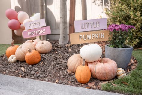 Our Little Pumpkin Is Turning One Decor, Our Little Pumpkin Is Turning One, Fall First Birthday Girl, Pumpkin Patch First Birthday, Fall First Birthday, Pumpkin Patch Birthday, Fall 1st Birthdays, Bday Pics, Baby First Birthday Themes