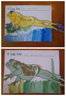 Frogs & Toads - differences Frog Unit Study, Teaching Plants, Pond Animals, School 2013, Frog Theme, Frog Life, Frog Crafts, Animal Science, Kindergarten Science