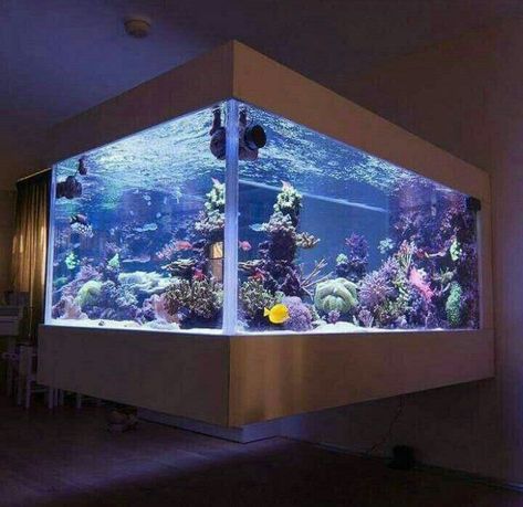 Giant Aquarium In House, Giant Fish Tank, Aesthetic Aquarium, Guys Room Aesthetic, Custom Aquarium, Wall Aquarium, Saltwater Aquarium Fish, Amazing Aquariums, Cool Fish Tanks