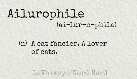 ailurophile-definition-word-nerd-via-lawhimsy Anklet Tattoos, Uncommon Words, Definition Of Love, Word Nerd, Weird Words, Unusual Words, Rare Words, Word Definitions, Personal Quotes