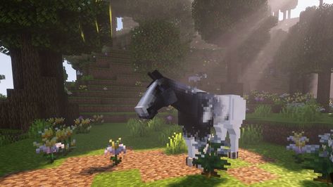 Starting a new world in Minecraft is the best feeling 🥰 … #minecraftbuilds #minecrafthorses #equestrian #minecrafters #cozyminecraft #cozygaming #cosygames Minecraft Horse Track, Minecraft Swem Horse, Swem Minecraft, Minecraft Horse, Minecraft Create, Minecraft Java, Horse Games, Minecraft Inspo, Best Feeling