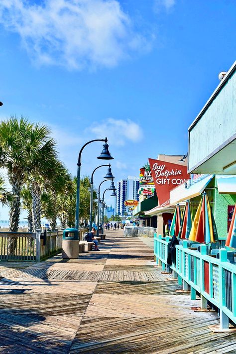 View of the Myrtle Beach Boardwalk and Promenade with palm trees lining the boardwalk and various shops, including the Gay Dolphin Gift Cove, under a clear blue sky. Trivia Time, Myrtle Beach Boardwalk, Beach Boardwalk, Myrtle Beach, Trivia