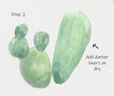 Cactus Watercolour Tutorial Watercolor Cactus Tutorial, Cactus Watercolour, Pretty Cactus, Watercolour Tutorial, Cactus Paintings, Cactus Watercolor, Succulent Painting, Botanical Photography, Cactus Drawing