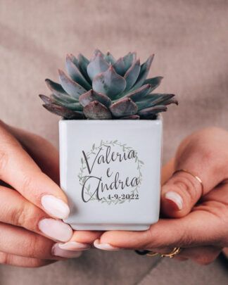 Let Love Grow, Mini Cactus, Wedding Money, Holy Communion, Wedding Deco, Wedding Themes, Corporate Gifts, Dream Wedding, Color Palette