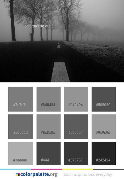 dark, black and white color palette Black And White Color Palette, Color Names Chart, White Color Palette, Simple Website Design, Flat Color Palette, Colors Inspiration, Dark Color Palette, Bedroom Colour Palette, Black Color Palette