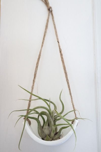 DIY This Simple Air Plant Wall Hanging Using Air Dry Clay! Air Dry Clay Planters Diy, Air Dry Clay Flower Pots, Air Dry Clay Wall Hanging, Crafts With Clay, Calming Home Decor, Plant Wall Hanger, Calming Home, Air Plant Wall, Plant Wall Hanging