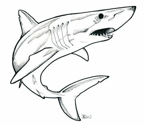 Mako Shark Tattoo, Great White Shark Drawing, Shark Drawing Easy, Shark Outline, Hai Tattoo, Shark Drawing, Nurse Shark, Mako Shark, Theme Tattoo