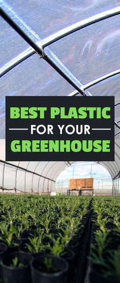 Building A Greenhouse, Cheap Greenhouse, Greenhouse Farming, Diy Greenhouse Plans, Best Greenhouse, Outdoor Greenhouse, Build A Greenhouse, Indoor Greenhouse, Greenhouse Ideas