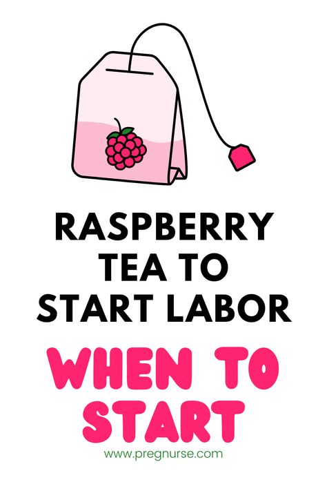 Discover the reality behind the popular belief that raspberry leaf tea can induce labor. Learn from The Pregnancy Nurse®, Hilary, who shares insights from studies and her own experience as a nurse with 20 years of labor and delivery experience. Raspberry Tea To Induce Labor, Labor Prep Tea, Iced Raspberry Leaf Tea Pregnancy, Rasberry Leaf Tea During Pregnancy, Labor Tea Recipe, Labor Drink Induce, Raspberry Tea For Labor, Starbucks Labor Inducing Drink, Red Raspberry Leaf Tea Pregnancy Recipes