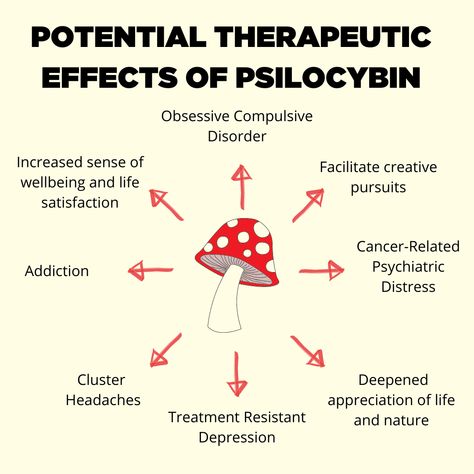 Pcilosybin Mushroom, Growing Psylocibin Mushrooms, Micro Dosing Mushroom, Micro Dosing, Psilocybin Mushrooms, Psychic Development Learning, Mushroom Benefits, Medical Herbs, Individual Counseling