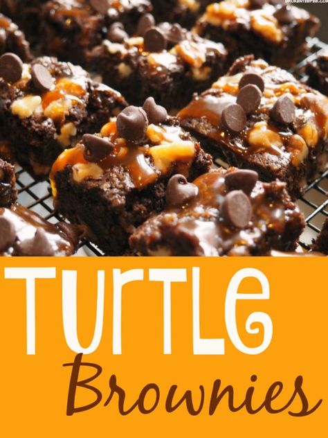 Turtle Brownies Recipe, Brownies With Caramel, Homemade Ganache, Brownies Fudgy, Caramel Pecan Cheesecake, Turtle Brownies, Walnut Brownies, Turtle Cheesecake, Baker's Rack