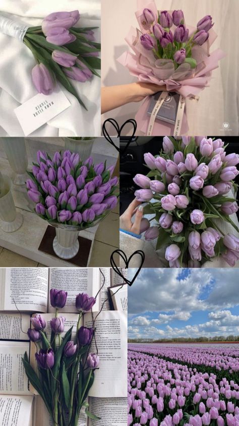 Tulips Wallpaper Aesthetic, Purple Tulips Aesthetic, Tulips Wallpaper, Tulips Purple Wallpaper, Michelle Core, Aesthetic Pictures Tulips, Violet Tulips Aesthetic, Tulip Flower Pictures, Purple Aesthetic Tulips